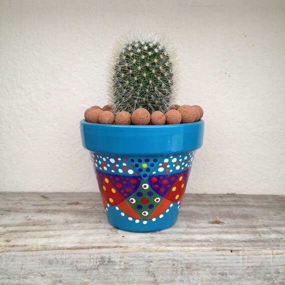 accessoires-de-maison-pot-de-fleurs-pour-cactus-peint-a-19224487-circus-bleu-7-j124d-e40da_570x0