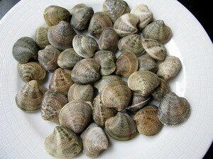 vongole1