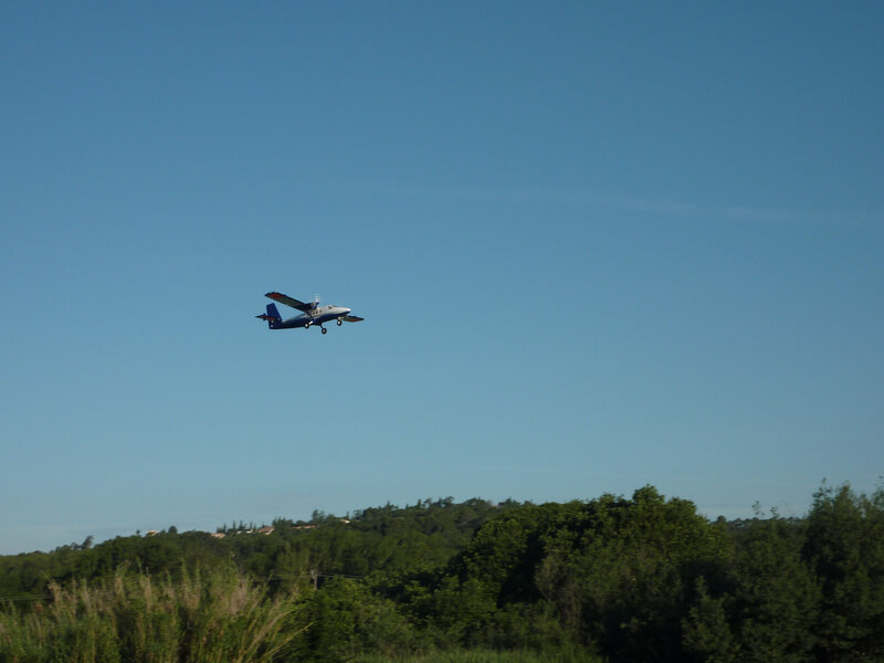P1060788