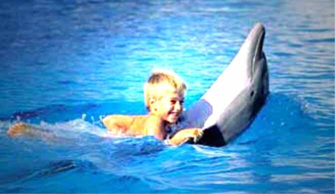 dolphin_child