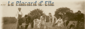 le_placard_d_elle
