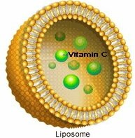 liposome-images