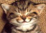 chat_sourire