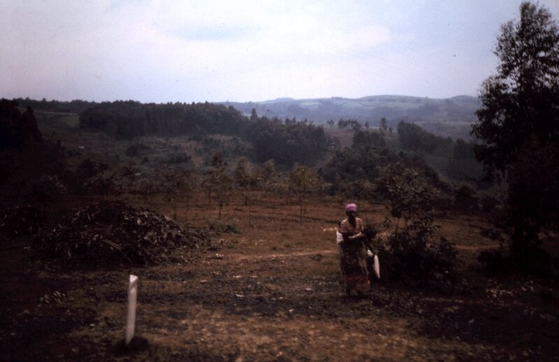 rwanda 31