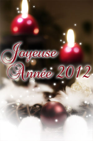 BonneAnnee2012