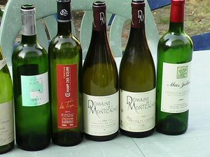 dégustation des languedocs 029