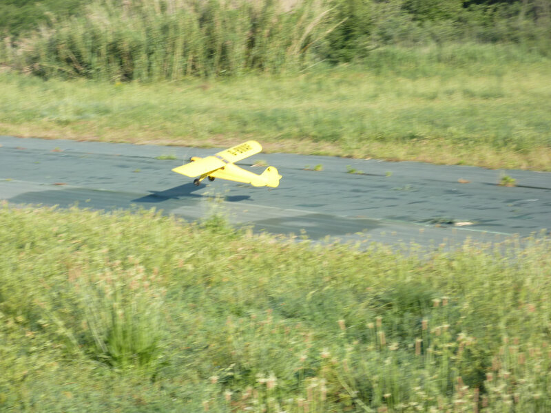 P1060803