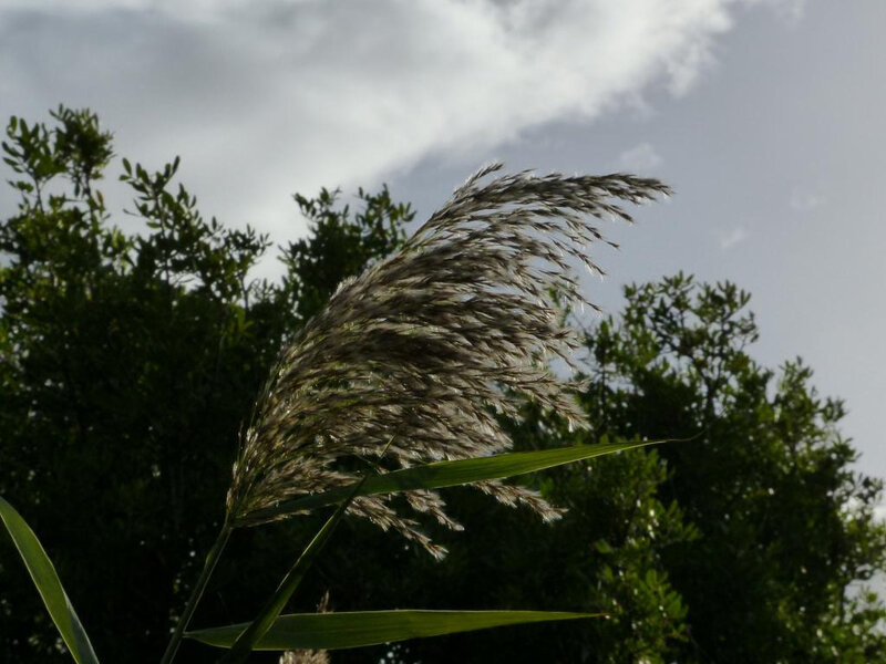 P1260737