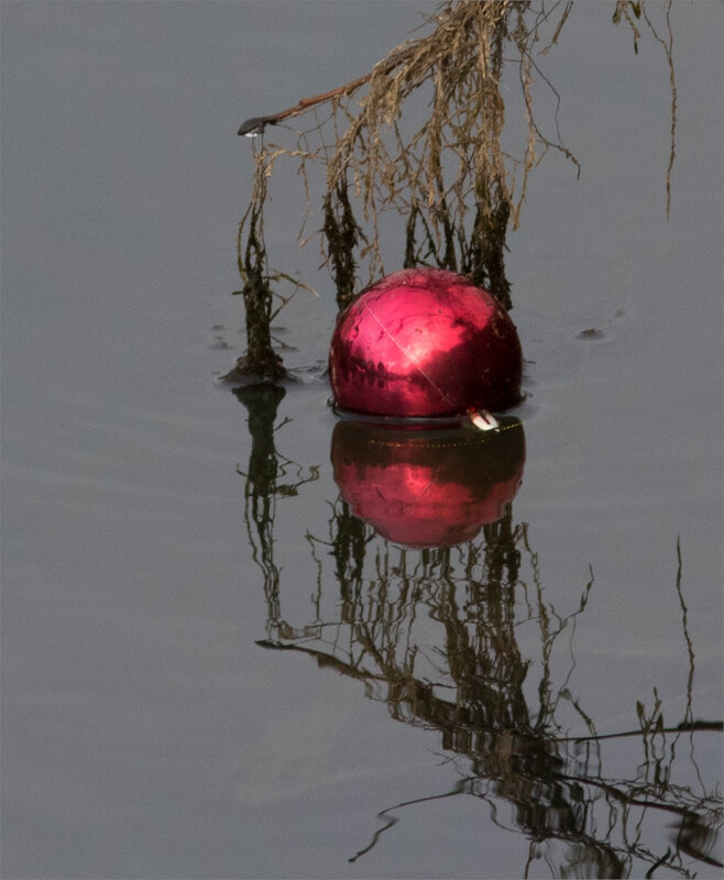 boule sapin Noël rivière ville 260119 ym 4