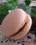 macaron_Mercotte