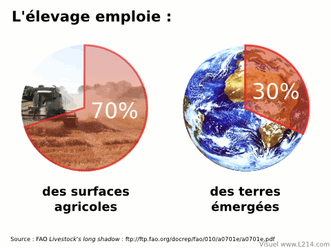 ressources-agricoles-480x360