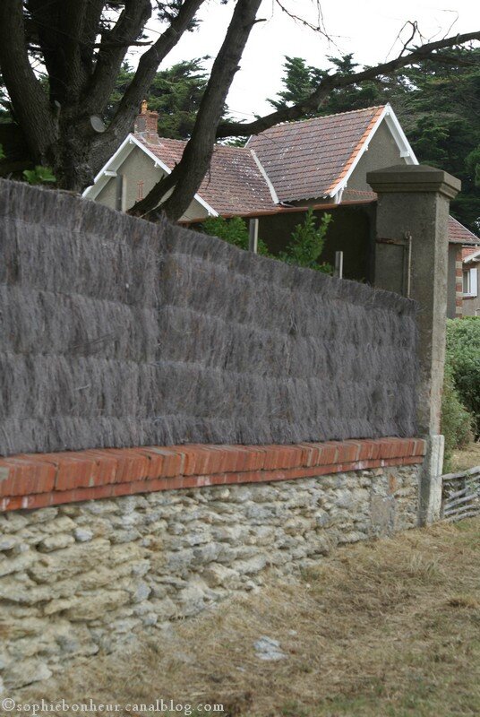 Préfailles mur typique
