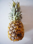 ananas