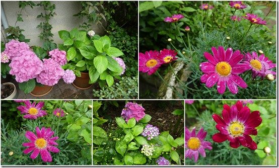 bouquets divers cour et jardin2