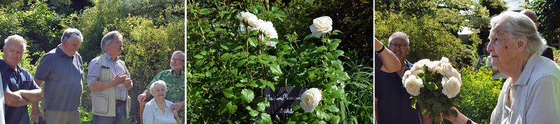 Bapteme-Rosier-Madame