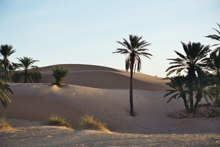 mauritanie_133