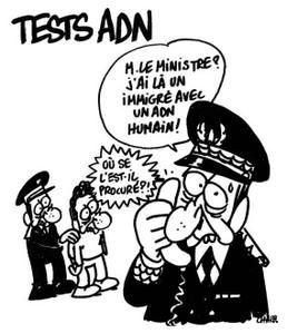 Test_ADN_3_Charb