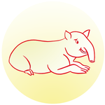 ab_c_daire_tapir_a172