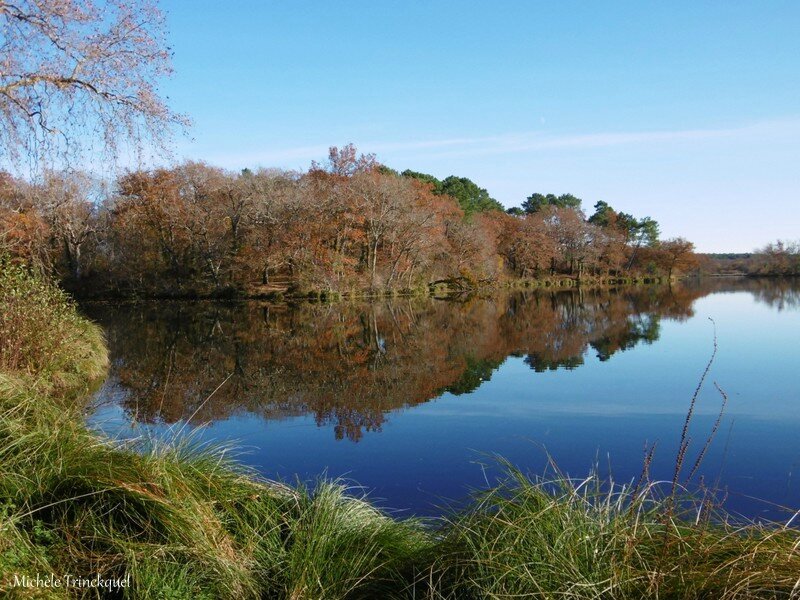 Etang d'Uza 061216