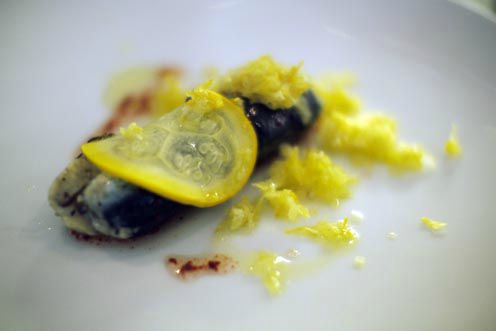 sardine