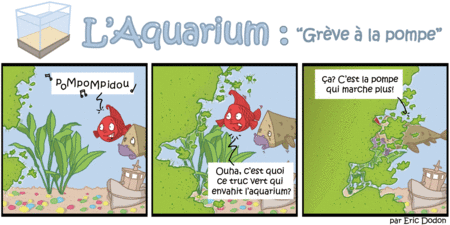 l_aquarium_pompe