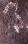 la_robe_de_