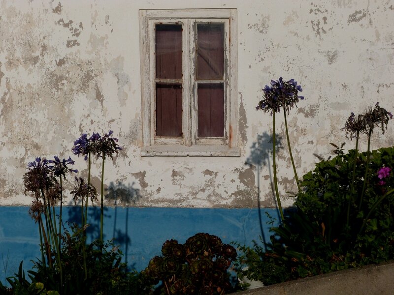 Portugal 6