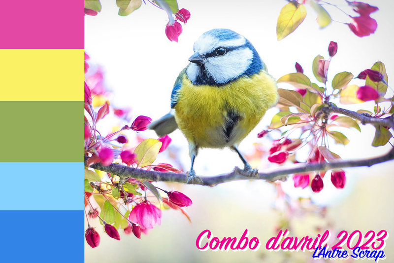 AS-combo-spring-bird