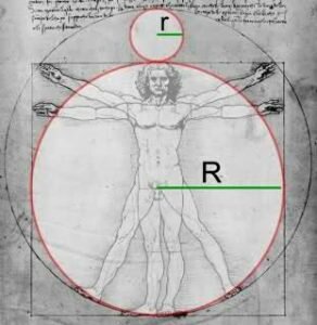 L_-De-Vinci-corps-humain-292x300