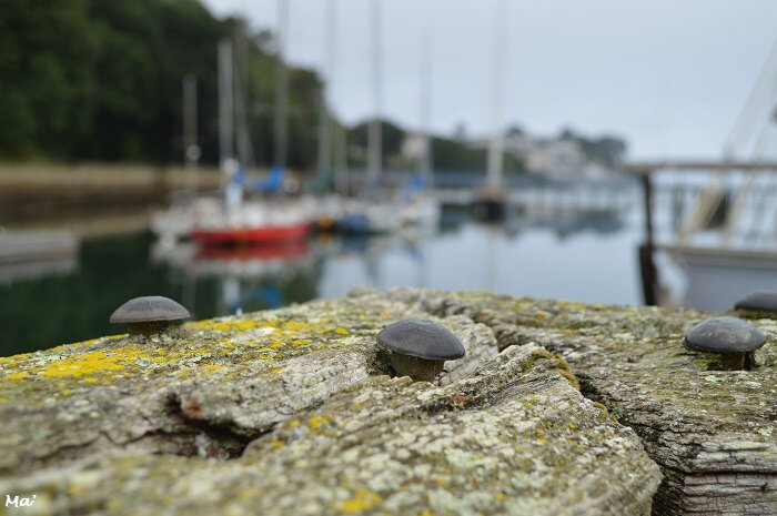 180814_douarnenez_port_musee_2