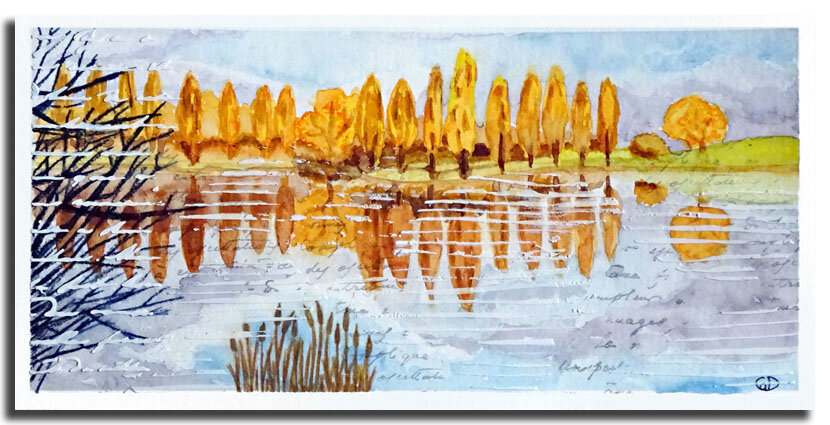 Lac de la forêt 21