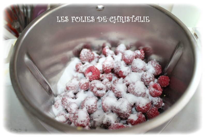 Bavarois choc framboises 17