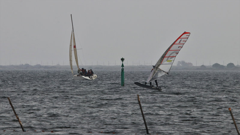 IMG_9513 - Copie