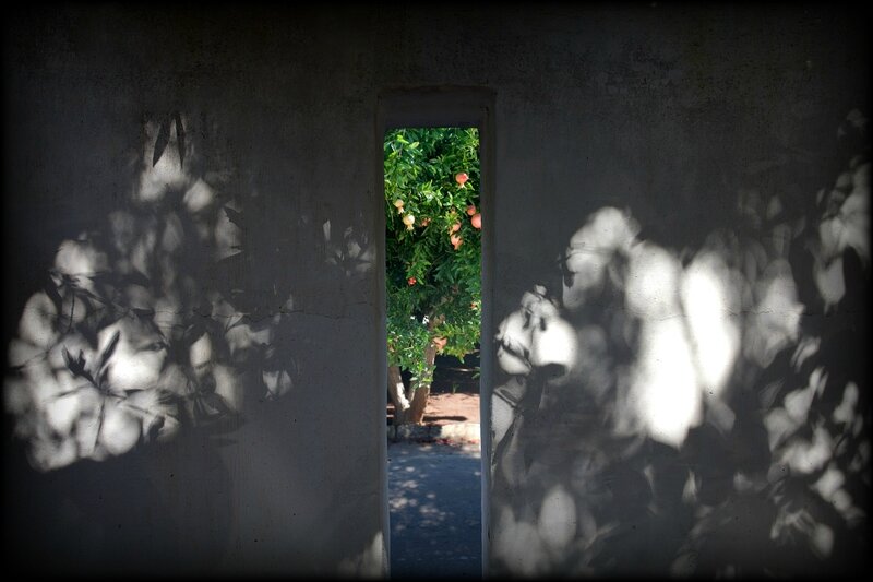 Abbas Kiarostami