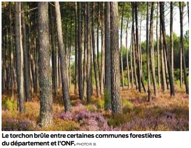 régime forestier