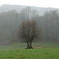 Paysages de chapelles en chapelles