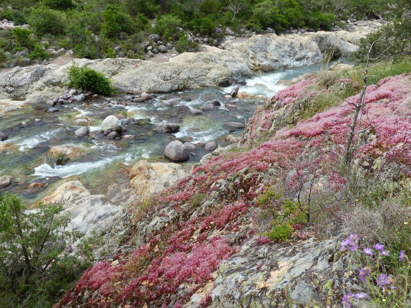 P1240977