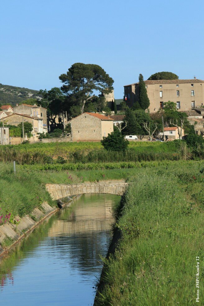 Photos JMP © Koufra12 - St Bauzille - 10 mai 2015 - 00174 - 001