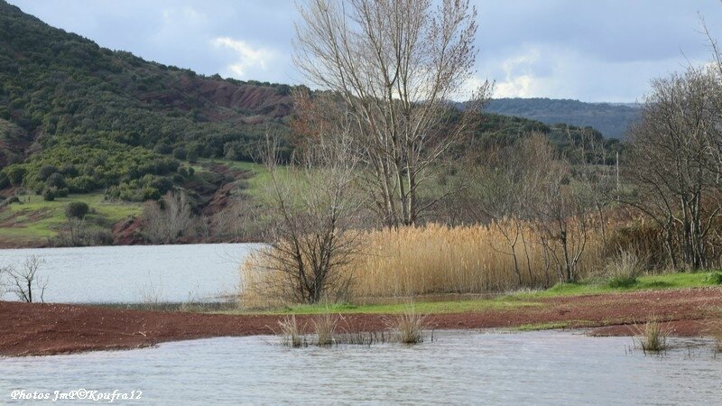 Photos JMP©Koufra 12 - Lac Salagou - 11032018 - 086
