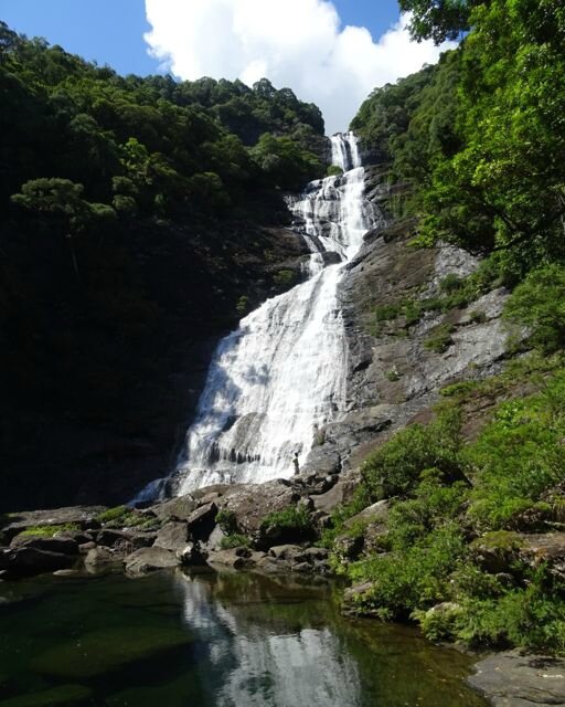 DSC03592