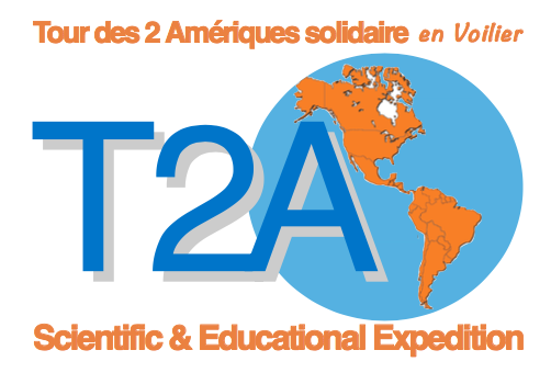 Logo T2A V2