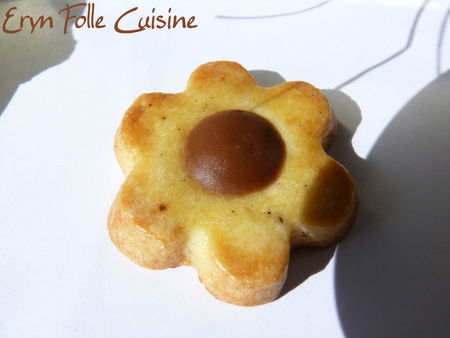 fleurs_de_sables_coeur_pralinoise3