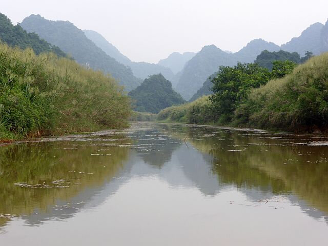 a31