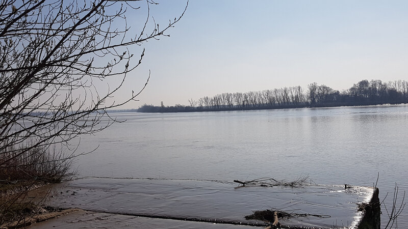20190224_144251