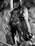 la_valse_des_chevaux_de_bois_photo