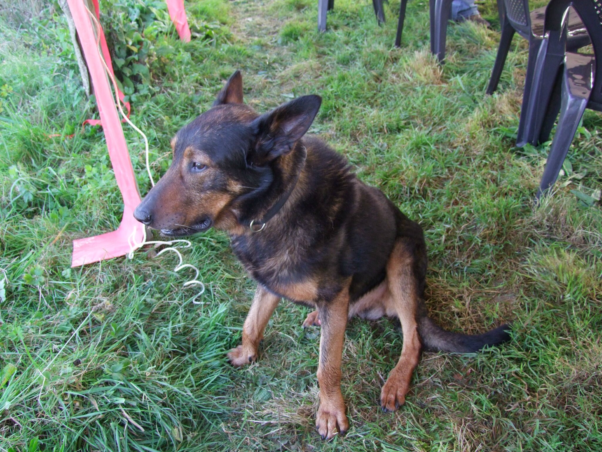 DSCF2006