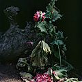 Sharon <b>Core</b>'s Floral Still-Lifes That Recall Old Masters Paintings