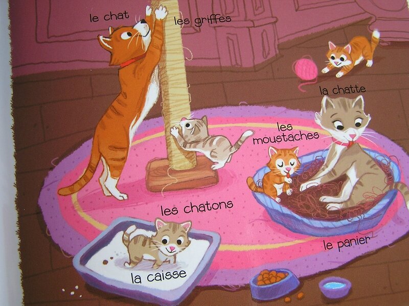 chat famille