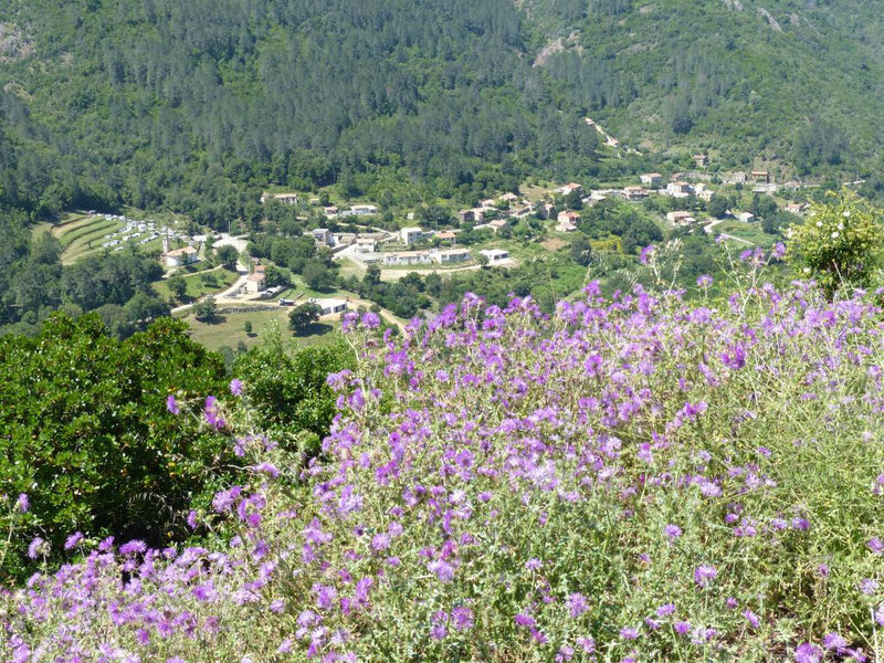 P1250012