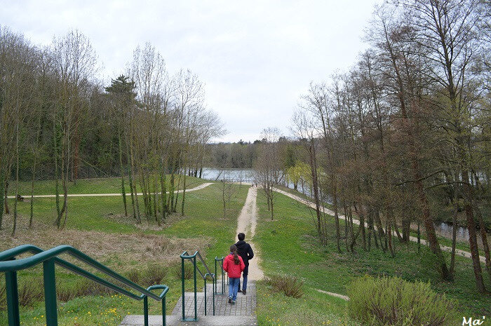 180402_bois_des_Naix_1